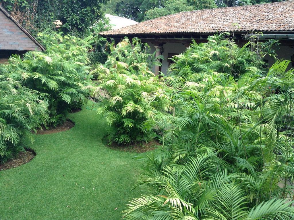 Готель Hacienda San Pedro Uruapan  Екстер'єр фото